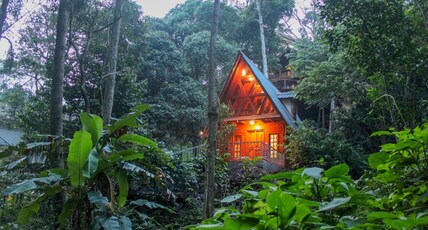 Forestvalley Duplex Wood House Room Type - Forestvalley Duplex Wood House