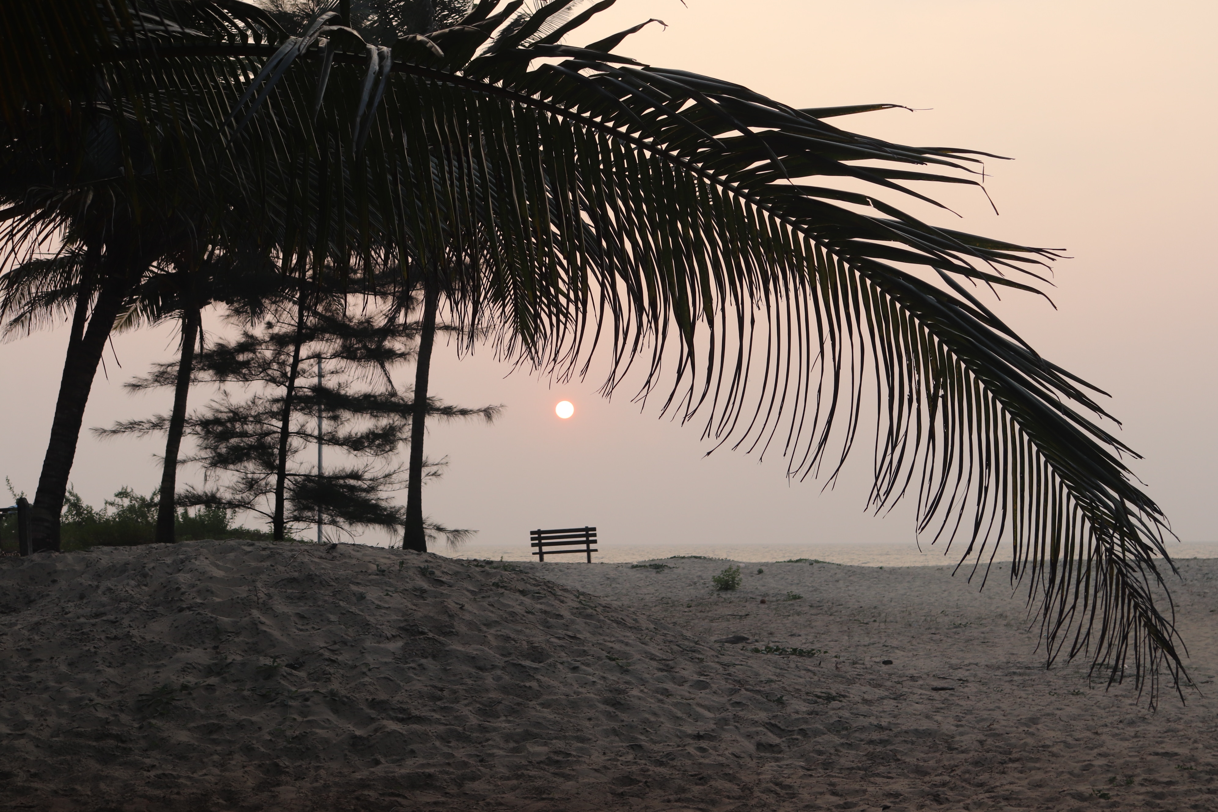 MARINE OASIS - Tap to explore photos