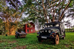 Jungle Inn