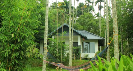 Vintage Garden Resort | Stay Amidst Bamboo Forest Room Type - Twin Bedroom Cottage