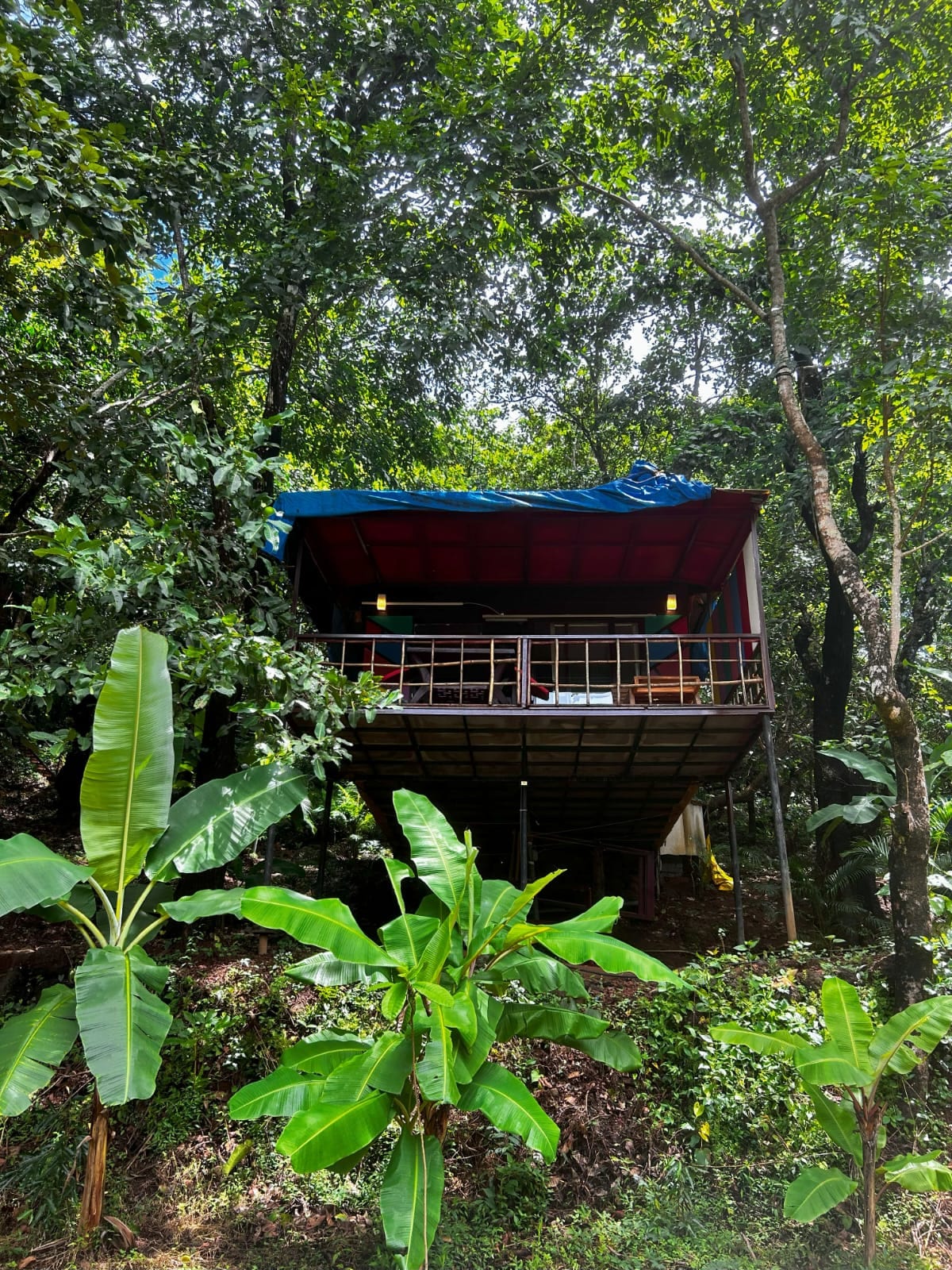 Samyama Retreat - Tap to explore photos