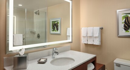 Holiday Inn Austin -Town Lake Room Type - 1 King Premium Top Floor