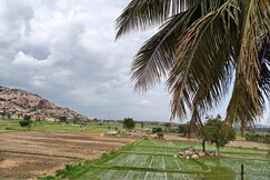 Shri Ganesha Homestay Hampi