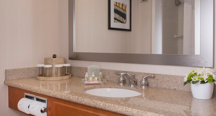 Holiday Inn Winnipeg South Room Type - 1 King Standard