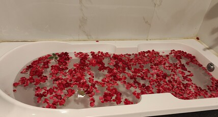 The Silver Palm Resort Room Type - Deluxe room with bathtub