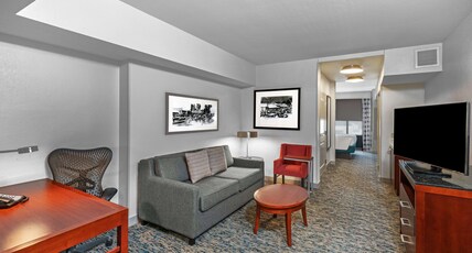 Hilton Garden Inn Houston/Sugar Land Room Type - 1 KING BED JR SUITE