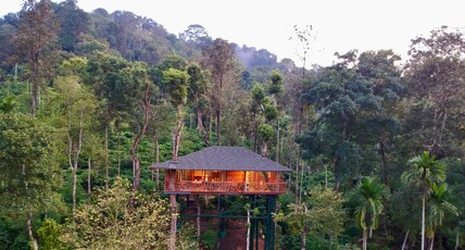 Tranquil Resort - BluSalzz Collection, Wayanad Room Type - Serenetree Villa
