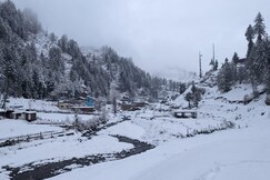 Freebird's Nest | Rooms & Exotic Cafe