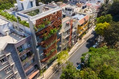Iris Suites