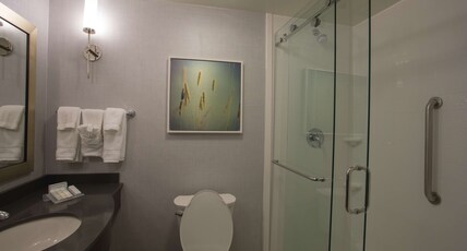 Hilton Garden Inn Bolingbrook I-55 Room Type - 1 KING ACC RM ROLLIN SHWR
