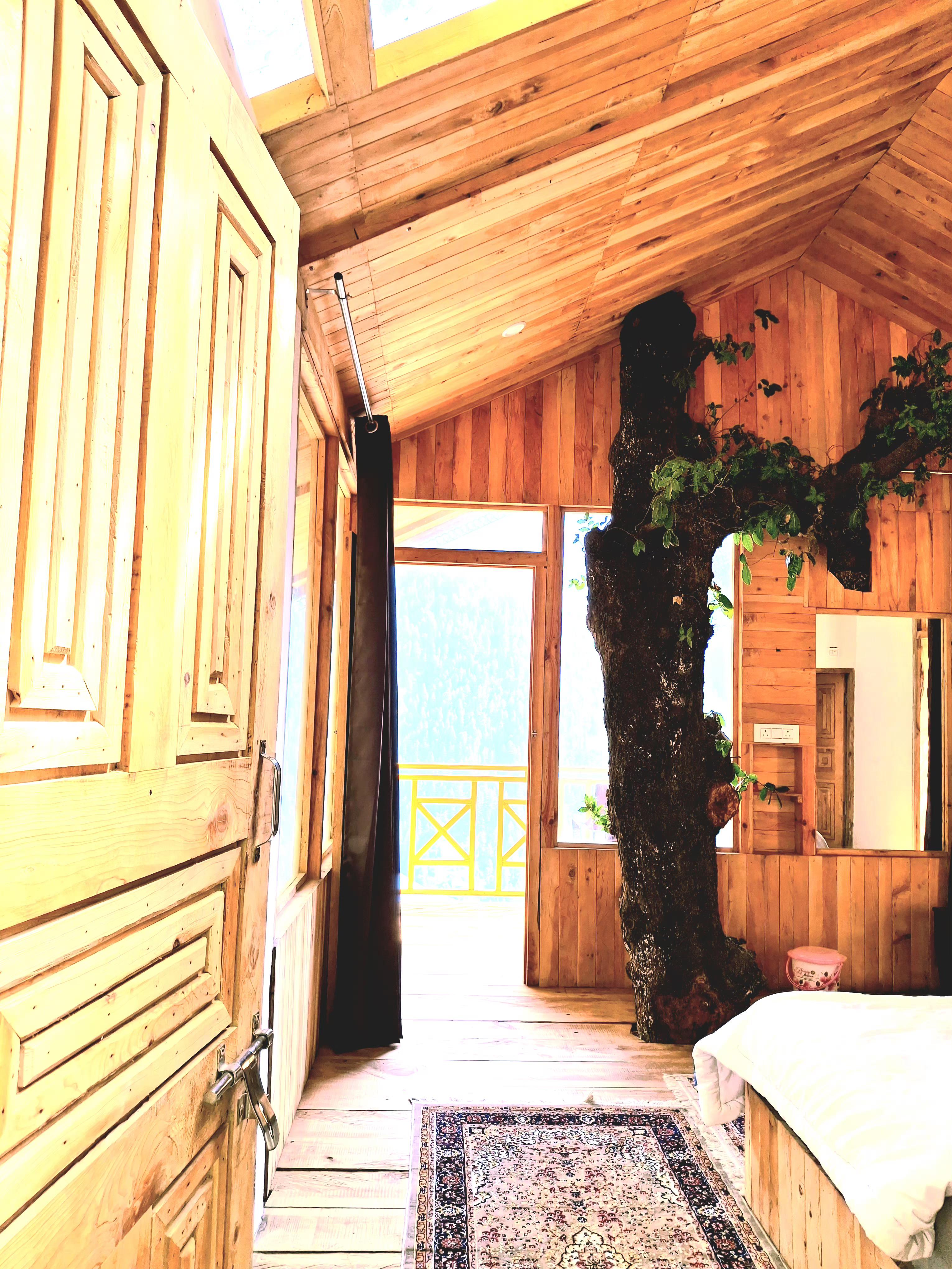 Pinehill treehouse - Tap to explore photos