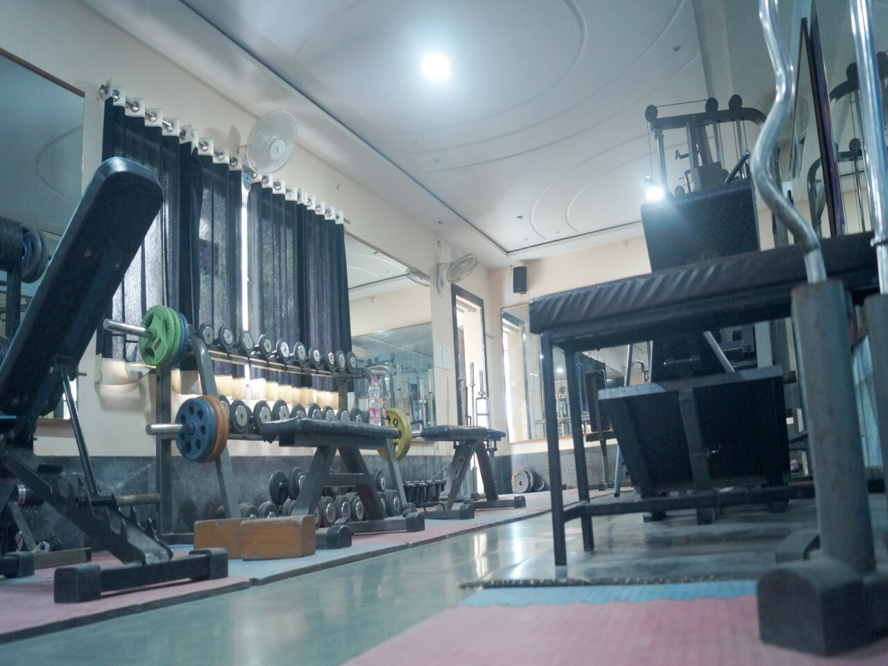 Main gallery