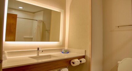Holiday Inn Express Hotel & Suites BYRAM Room Type - 1 King Bed Suite Mobil Access Tub