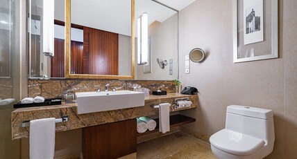 Holiday Inn Resort Chaohu Hot Spring Room Type - 2 Twin Standard