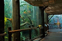 Staybridge Suites SEATTLE - FREMONT, an IHG hotel