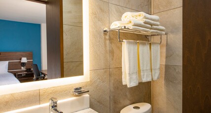 Holiday Inn Express MERIDA CENTRO Room Type - 2 Queen Standard City View
