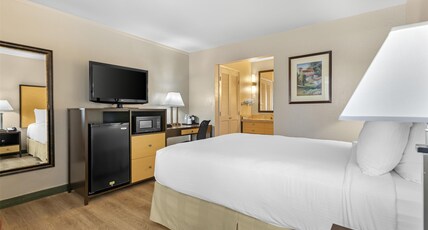 Best Western Petaluma Inn Room Type - 1 Queen Bed, Non-Smoking, Pet Friendly Room, Microwave And Refrigerator, Wi-Fi, Continental Breakfas Best Western Petaluma Inn Room Type - 1 Queen Bed, Non-Smoking, Pet Friendly Room, Microwave And Refrigerator, Wi-Fi, Continental Breakfas