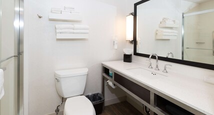 Hilton Garden Inn Austin Airport Room Type - 1 KING BED DELUXE SOFABED