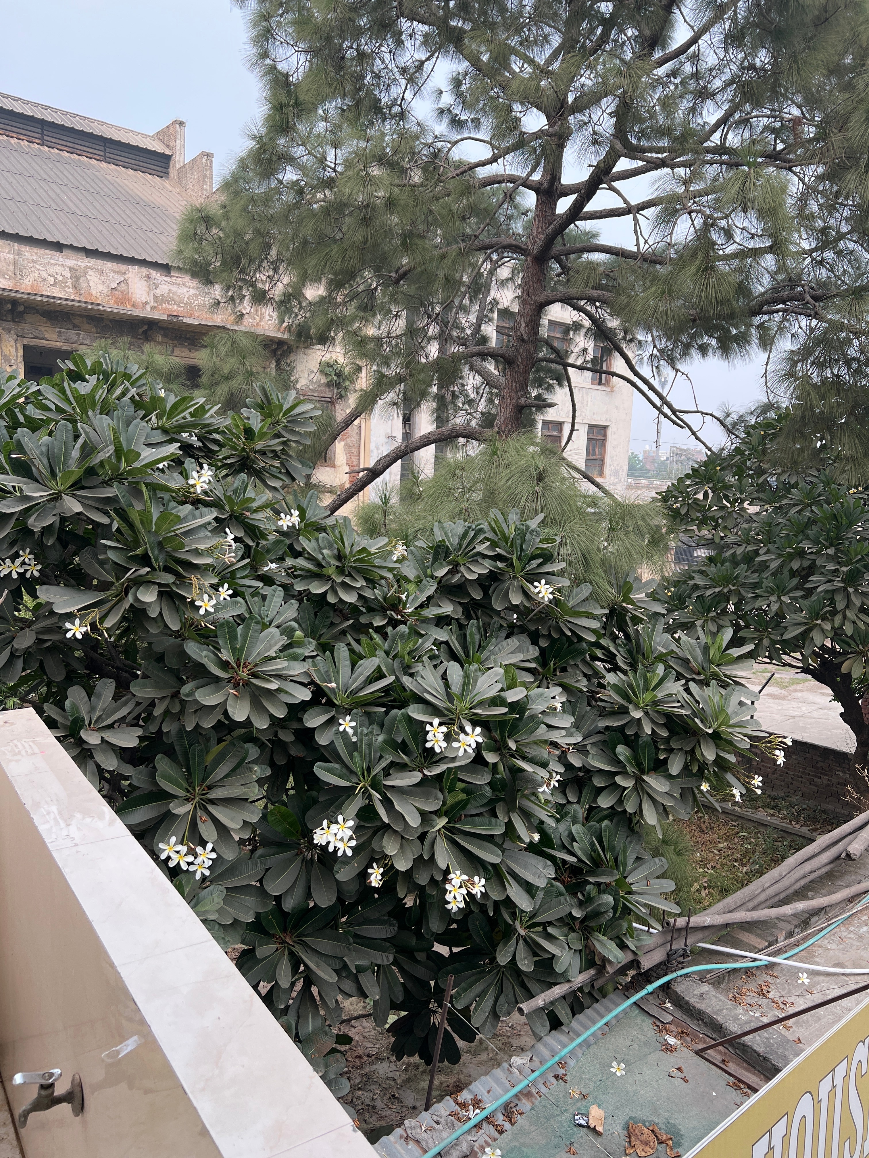 Raja Guest House, Near Railway Station - Tap to explore photos