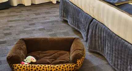 Best Western Plus BorgoLecco Hotel Room Type - 2 Single Beds, Superior Room