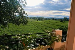 Airport luxury nature homestay@ 10Min from Airport