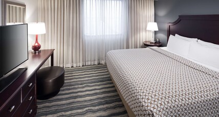 Embassy Suites Tampa - Brandon Room Type - 1 KING PREMIUM STE NOSMOK