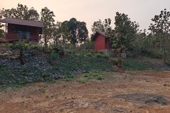 Photos of Neel @ Wild flower Farmstay, Koshimbale, Maharashtra