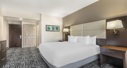 DoubleTree by Hilton Williamsburg Room Type - 1 KING BED BALCONY