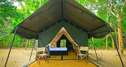 CoffeeBean Villa Room Type - Jungle Safari Tents
