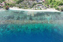 Seven Dreams A Pramana Experience