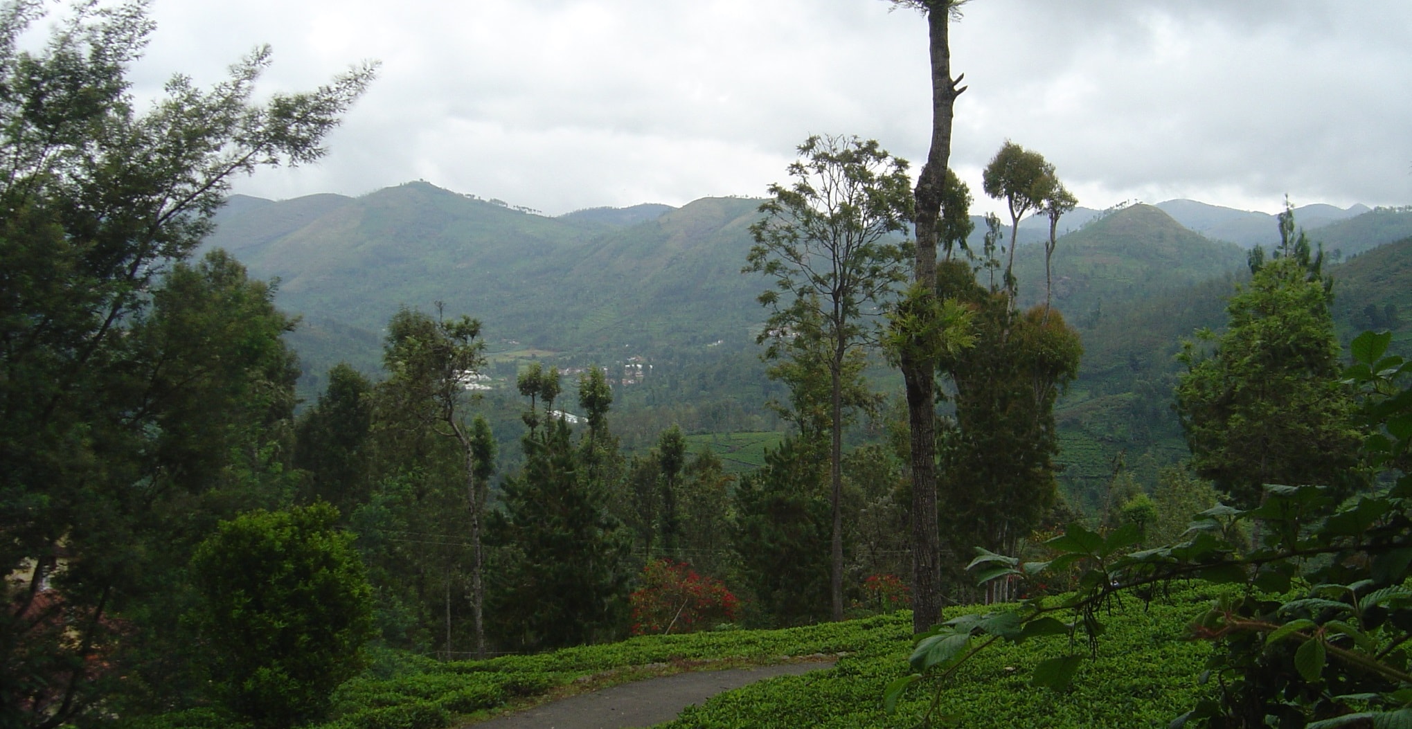 Trilan Cottages - Tea Estate - Kannerimukku - Tap to explore photos
