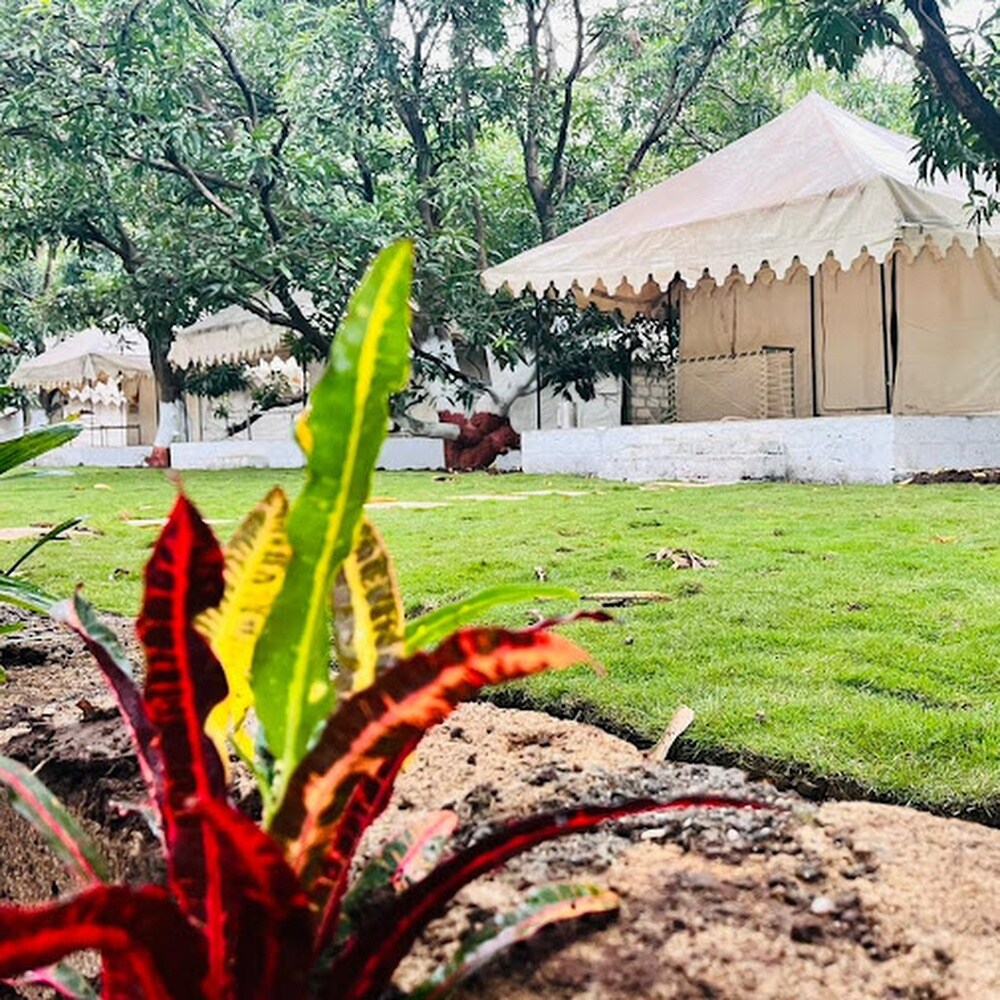Gir Orchid Resort - Tap to explore photos