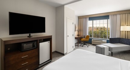 Holiday Inn Express & Suites Aiken, an IHG Hotel Room Type - 1 King Standard