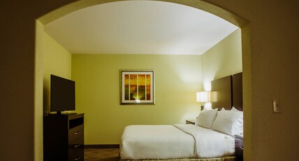 Holiday Inn Express & Suites Waller - Prairie View Room Type - 1 King Bed Suite Comm Accessible Tub
