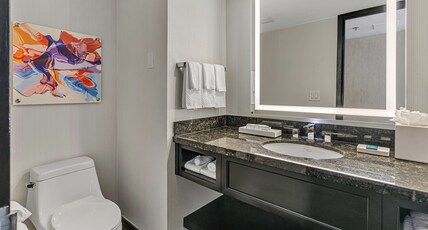 Hilton Miami Downtown Room Type - 1 KING BED BAYVIEW