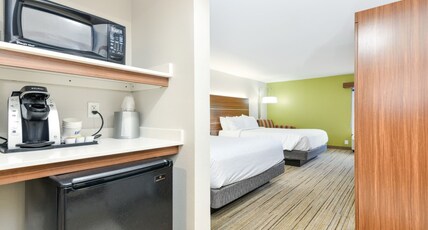 Holiday Inn Express Hotel & Suites Pigeon Forge, an IHG hotel Room Type - 2 Queen Beds Standard