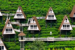 Thottom Stays Vagamon -Luxury A-Frame Glamps