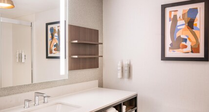Hilton Garden Inn Denver Tech Center Room Type - 1 KING ACC RM ROLLIN SHWR