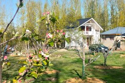 Apple haven