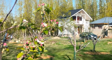 Apple haven Room Type - Apple haven