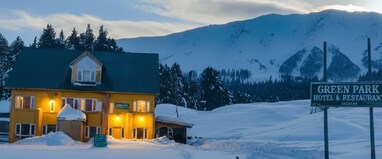 Hotel Green Park Gulmarg