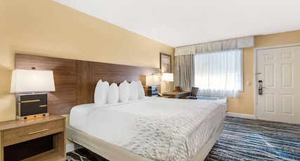 BEST WESTERN MOUNTAINBROOK INN Room Type - Accessible - 1 King, Mobility Accessible, Roll In Shower, Non-Smoking, Continental Breakfast