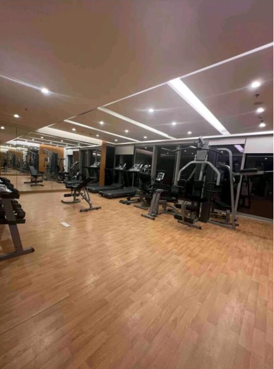 Main gallery
