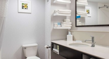 HAMPTON INN DOUGLAS GA Room Type - 1 KNG ACCESSIBLE TUB NS
