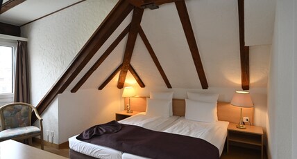 Hotel Olympia, Zurich Room Type - Apartment