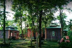 SDD Heaven View Lataguri