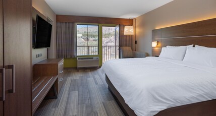 Holiday Inn Express DURANGO Room Type - 1 Bedroom Suite 1 King Communications Accessible