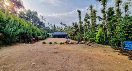 BLUE BIRD HOME STAYS Room Type - Standard Double Room