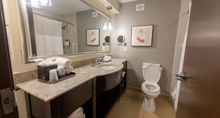 Crowne Plaza Houston Galleria Room Type - 1 King Bed 1 Bedroom Suite Sofa Bed