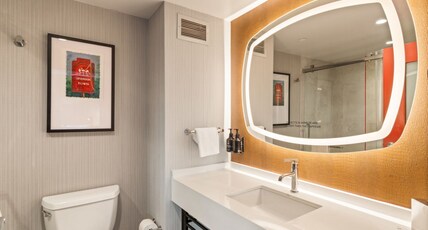 Hotel Indigo BATON ROUGE DOWNTOWN Room Type - 1 Queen Standard